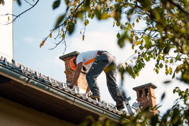 Best Roof Waterproofing Services  in Van Alstyne, TX