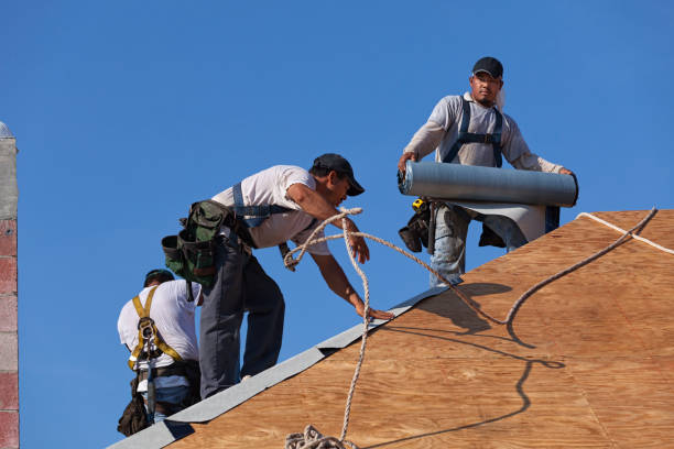 Best Roof Replacement Cost  in Van Alstyne, TX