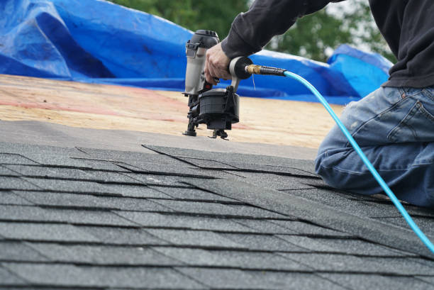 Best Shingle Roofing Installation  in Van Alstyne, TX