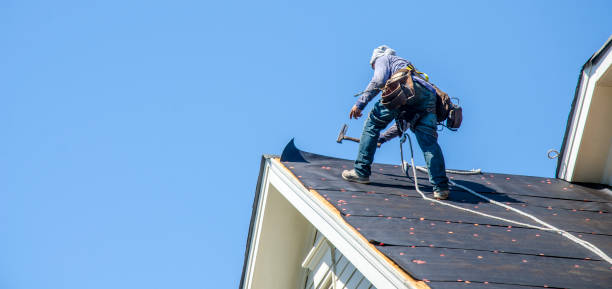 Best Roof Gutter Cleaning  in Van Alstyne, TX